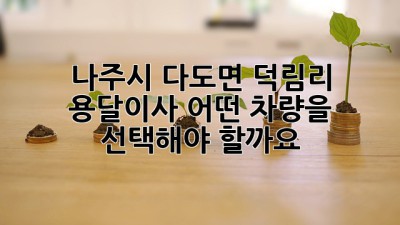 나주시 다도면 덕림리 용달이사, 어떤 차량을 선택해야 할까요?