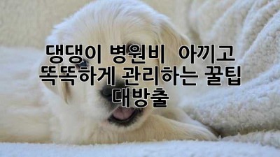 🐶 댕댕이 병원비 💰 아끼고 똑똑하게 관리하는 꿀팁 대방출! 🏥
